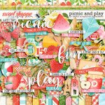 dsi_picnicandplay_preview-web.jpg