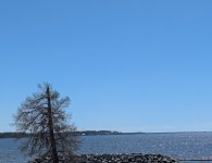 PXL_20260313_171115740.jpg