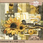 khartley_sunshineonastem_preview_kit.jpg