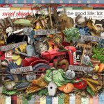 tnp-THEGOODLIFE-kit-prev.jpg