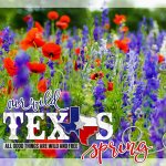 2017-05-TX-Spring.jpg