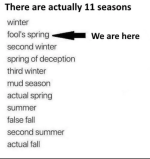 1774731212503.png