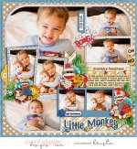 SSD-KL-2015_02-JL-SillyMonkey.jpg