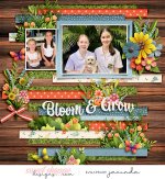 26-01-27-Bloom-&-Grow-700b.jpg
