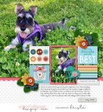 SSD-KL-2022_05-OlivePawPrints.jpg