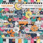 wilkerson-moonandback-preview700.jpg