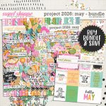 ayi-project2026-may-bundlepreview.jpg
