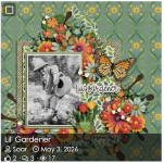 gallery_modern.png