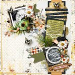 tnp-STARTINGOVER-Tammy-LO1.jpg