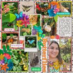 ButterflyWonderland_SSD_mrsashbaugh.jpg