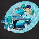 FDD---Fishy-Wishy---CMG-Ocean-Aquarium-copy.jpg
