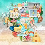 dsi_seasidefun_layout-eve-13b8b216dd.jpg