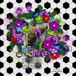 Shine 700.jpg