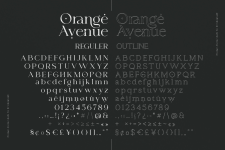orange-avenue-demo-font-9-large.png orange-avenue-demo-font-9-large.png