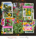 allyanne_TechnicolorDreams WM.jpg