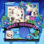 800bmagee-singleton129-sweetmemories.jpg 800bmagee-singleton129-sweetmemories.jpg