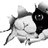 FILIPPOK