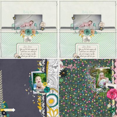 fairyflies