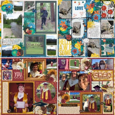 kc33558