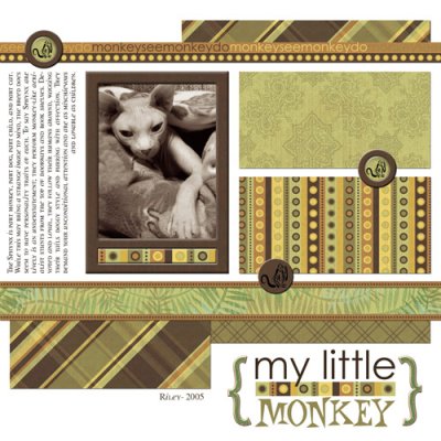 My Little Monkey