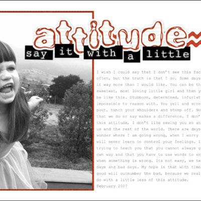 Attitude