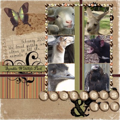 symbio animals