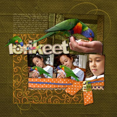 Rainbow Lorikeet
