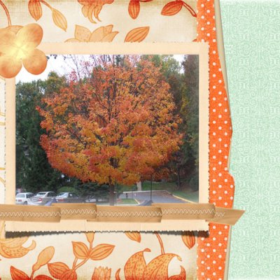 Fall
