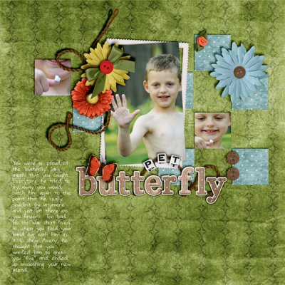 Pet Butterfly