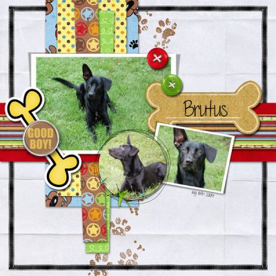 Brutus