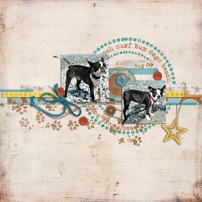 surf bum dogs