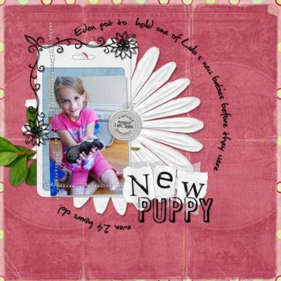 New Puppy