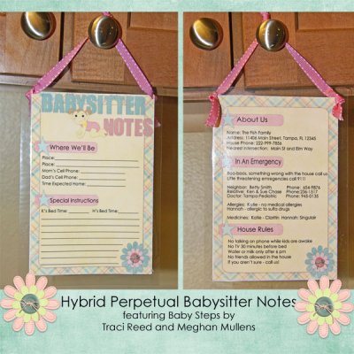 Hybrid Babysitter Notes