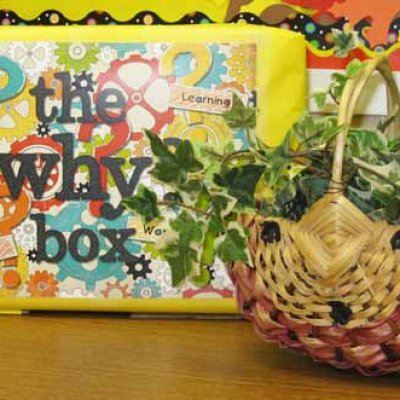 The Why? Box