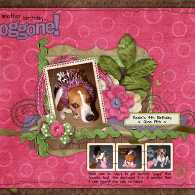 another birthday... doggone!