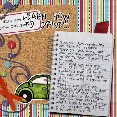 Learn How to Drive!!!