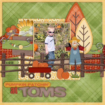 Pumpkin Patchin' at Tom's