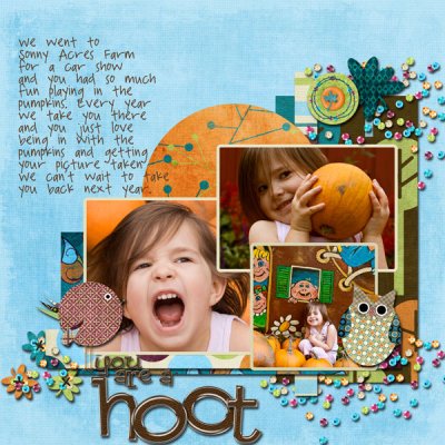 You are a Hoot