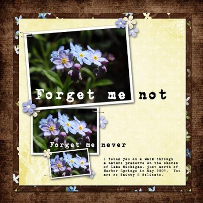 Forget Me Not