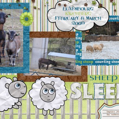 Sheepishly Sleepy