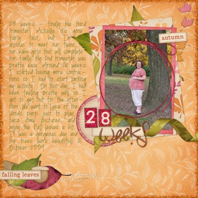 28 weeks