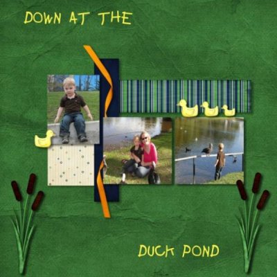 Down at the duck pond