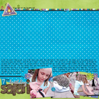 7th Birthday Safari