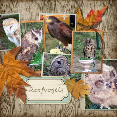 roofvogels
