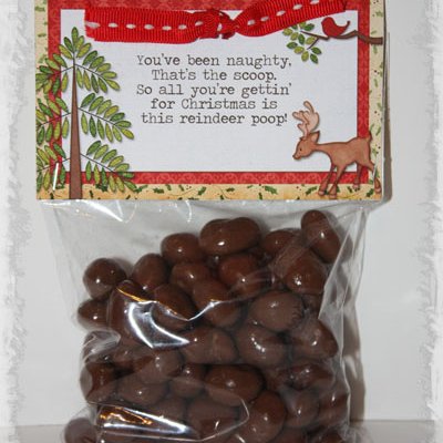 Reindeer Poop