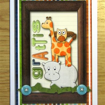 Zoo Birthday card