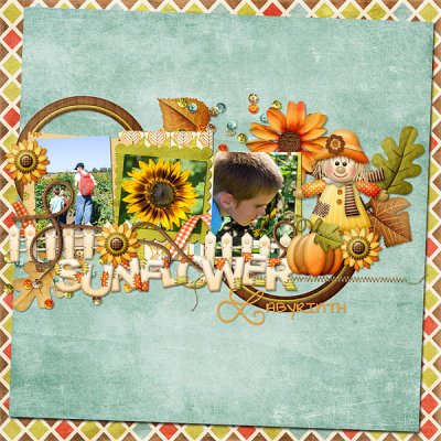 Sunflower Labyrinth