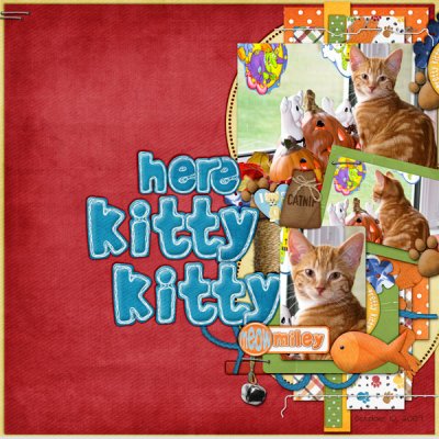 Here Kitty Kitty