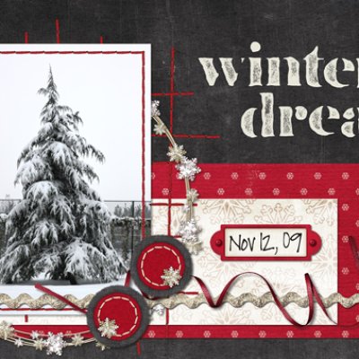 Winter Dream