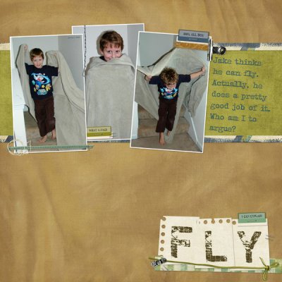 Fly
